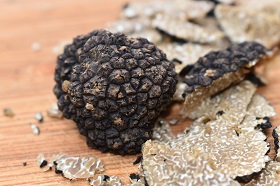 Truffle Summer Mushrooms Gastronomy  - Mrdidg / Pixabay